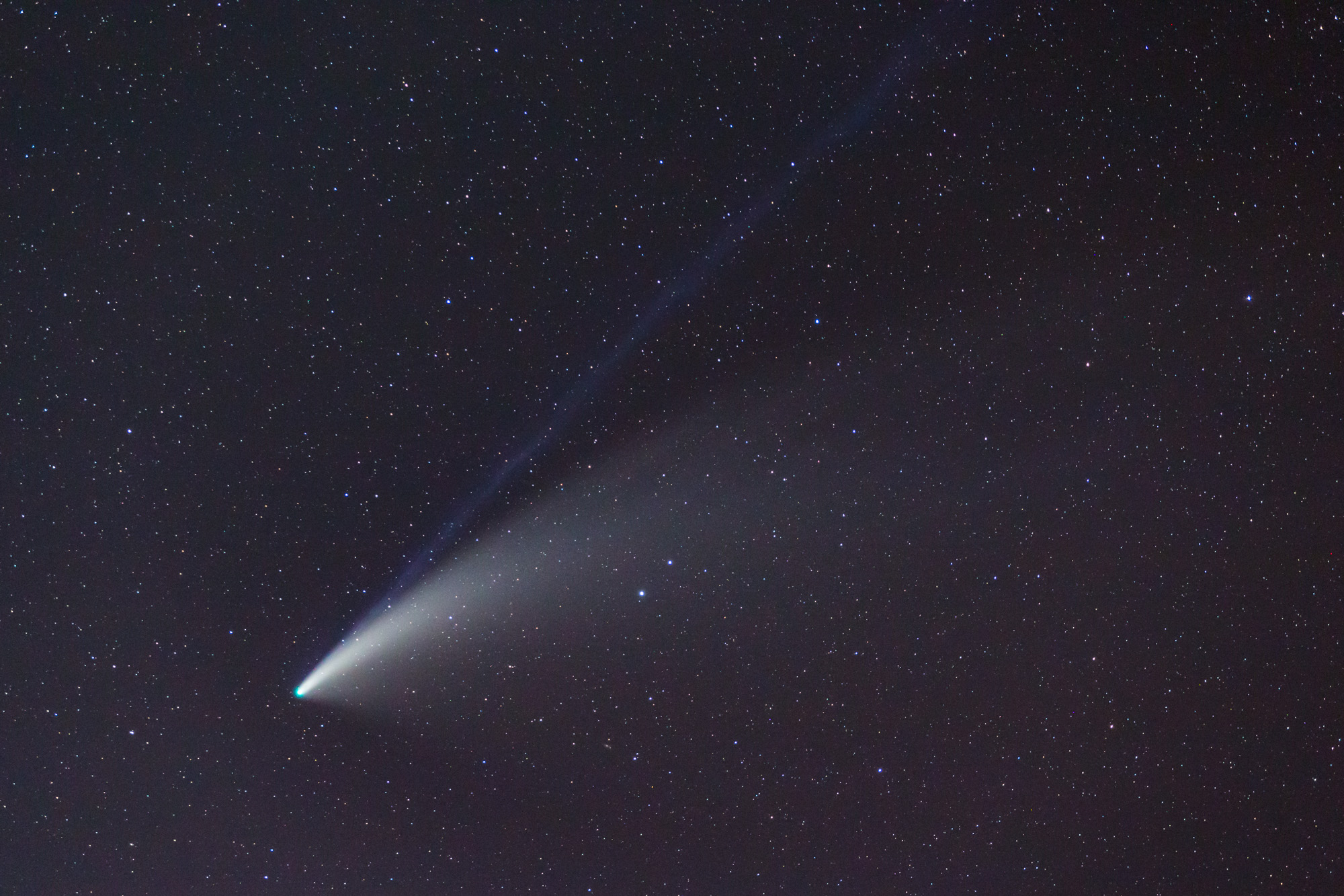 Comet NEOWISE closeup.